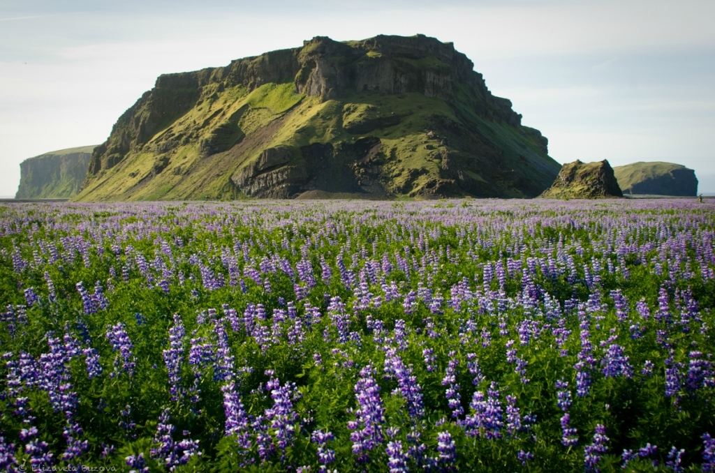 Исландия Фото Природы